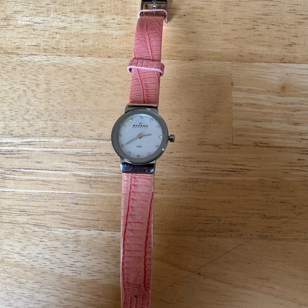 Skagen Woman’s Watch